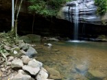 Buderim Forest Waterfall