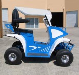 ATV-XM Step Through 2WD Scooter